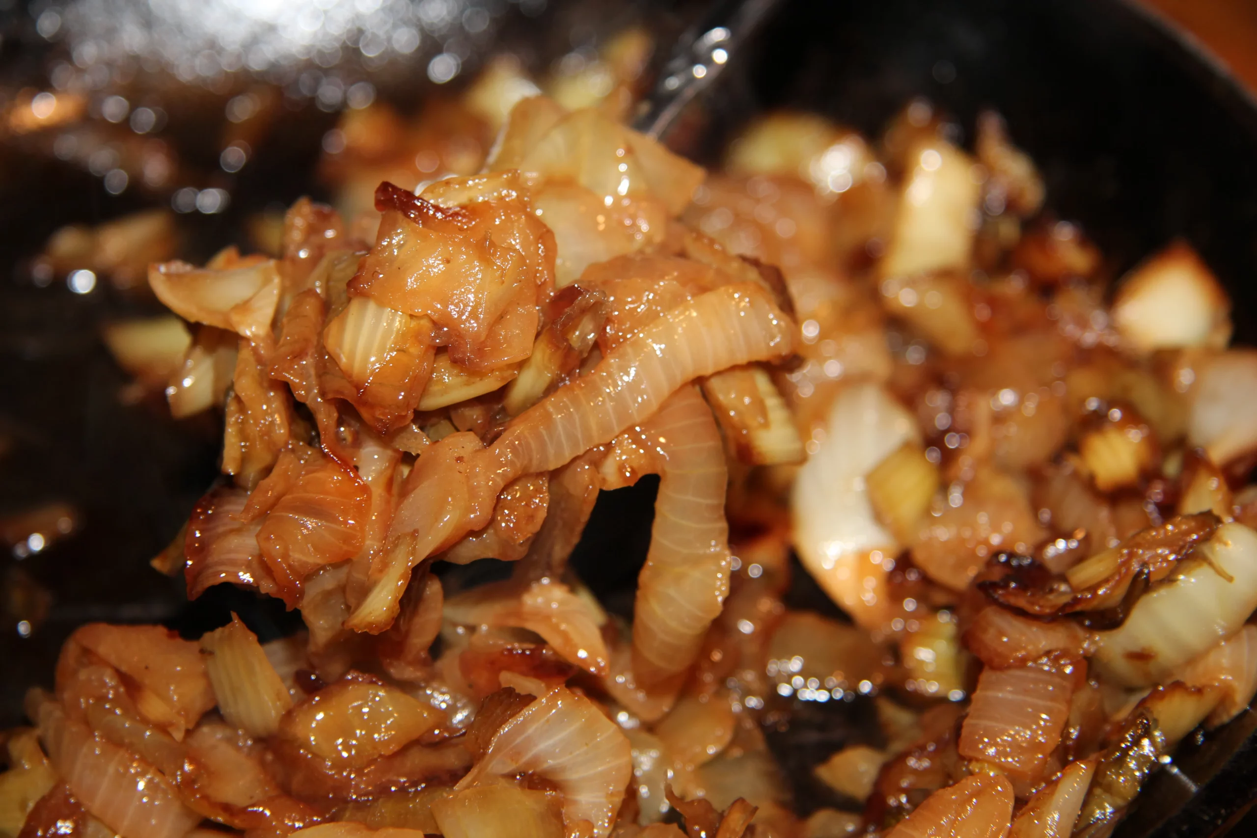 Featured image for “Caramelized Onion and Fennel”