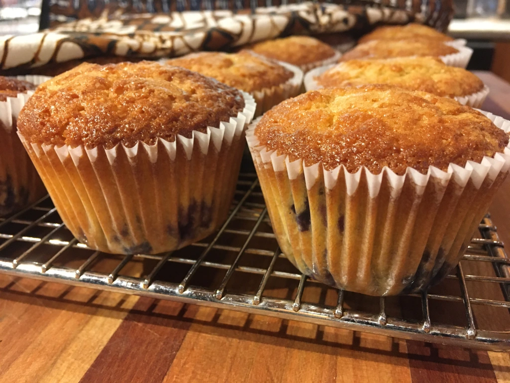 Featured image for “Gluten Free Blueberry Muffins”