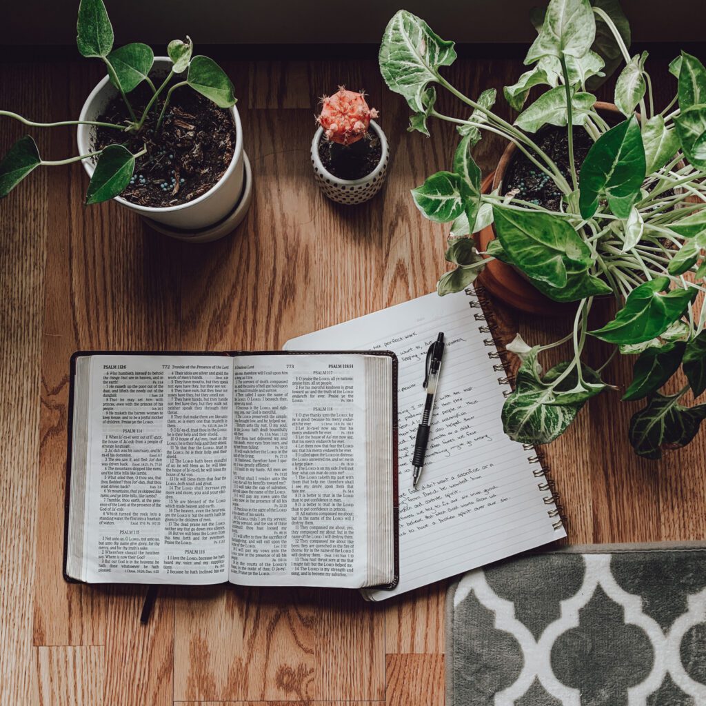 Bible and plants on a desk